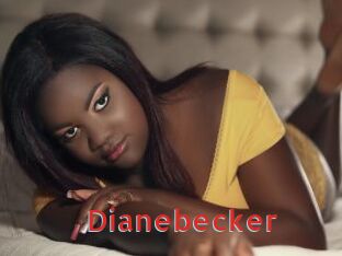 dianebecker Archive DVD NET