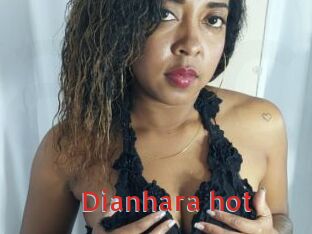 Dianhara_hot