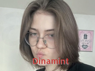 Dinamint