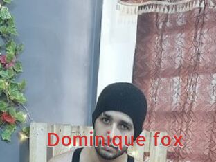 Dominique_fox