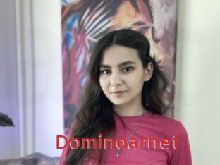 Dominoarnet