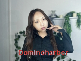 Dominoharber