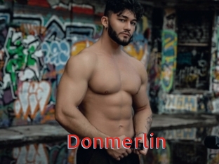 Donmerlin