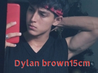 Dylan_brown15cm