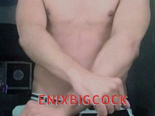 ENIXBIGCOCK Archive DVD NET