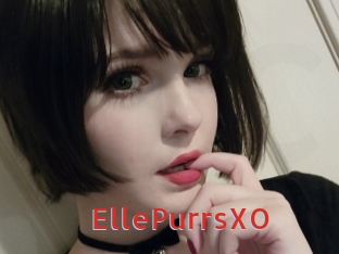 EllePurrsXO