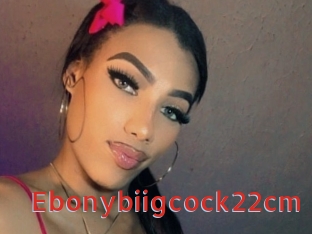 Ebonybiigcock22cm