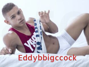 Eddybbigccock