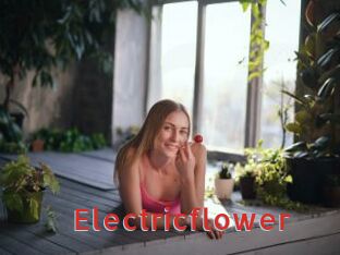 Electricflower