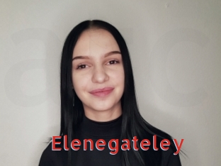 elenegateley Archive DVD NET