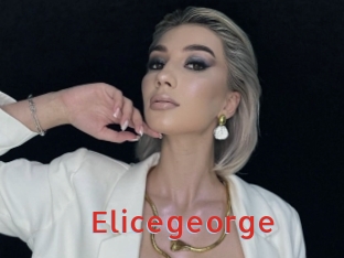 elicegeorge Archive DVD NET