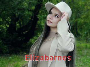 Elizabarnes