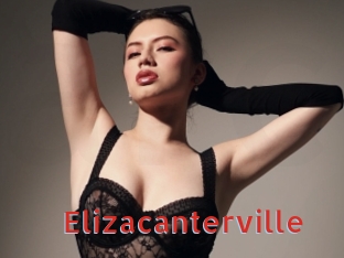 elizacanterville Archive DVD NET