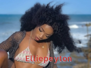 elliepeyton Archive DVD NET