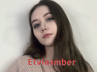 Elviaamber