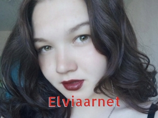 Elviaarnet