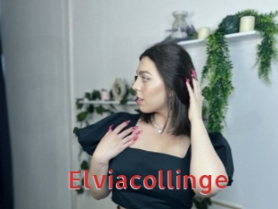 Elviacollinge