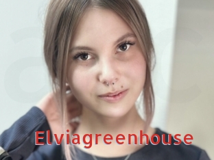 Elviagreenhouse