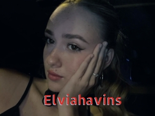 Elviahavins