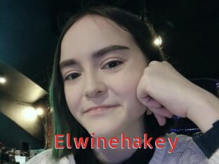 Elwinehakey