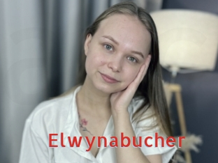 elwynabucher Archive DVD NET
