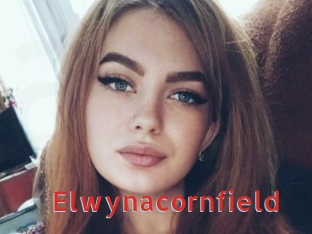 Elwynacornfield