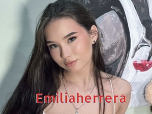 emiliaherrera Archive DVD NET