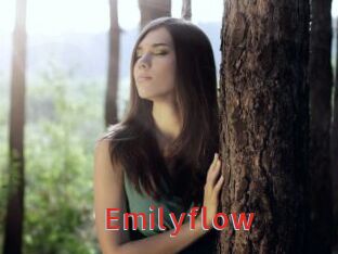 Emilyflow