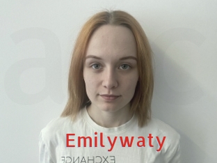 emilywaty Archive DVD NET