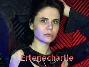 erlenecharlie Archive DVD NET