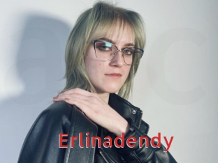 Erlinadendy