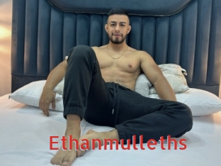 ethanmulleths Archive DVD NET