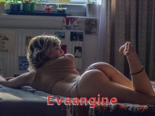 Evaangine