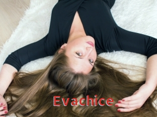 Evachice