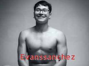 evanssanchez Archive DVD NET