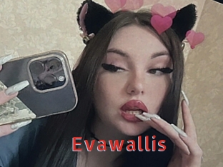 Evawallis