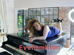 Evehamilton