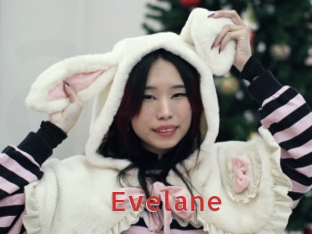 Evelane