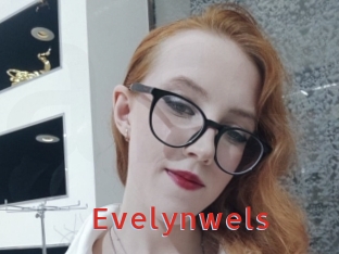 evelynwels Archive DVD NET