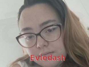 Eviedash
