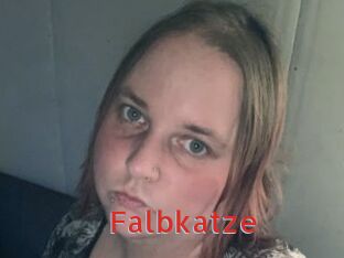 Falbkatze