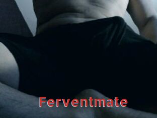 ferventmate Archive DVD NET