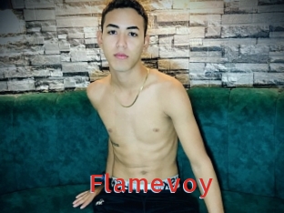 Flamevoy