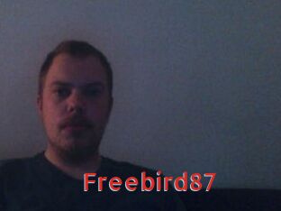 freebird87 Archive DVD NET
