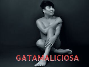 GATAMALICIOSA