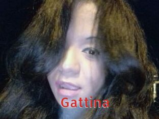 Gattina