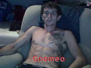 Gnomeo
