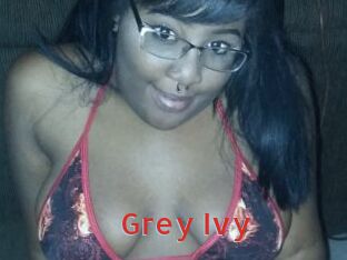 Grey_Ivy