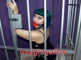 Gaggingalice