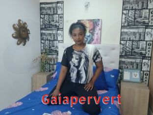 gaiapervert Archive DVD NET